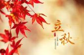 用“立秋”造句