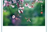 用“飘飘”造句