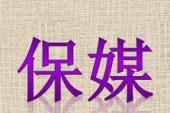 用“保媒”造句