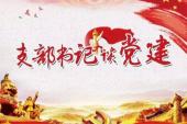 用“支部书记”造句