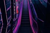 用“霓虹”造句